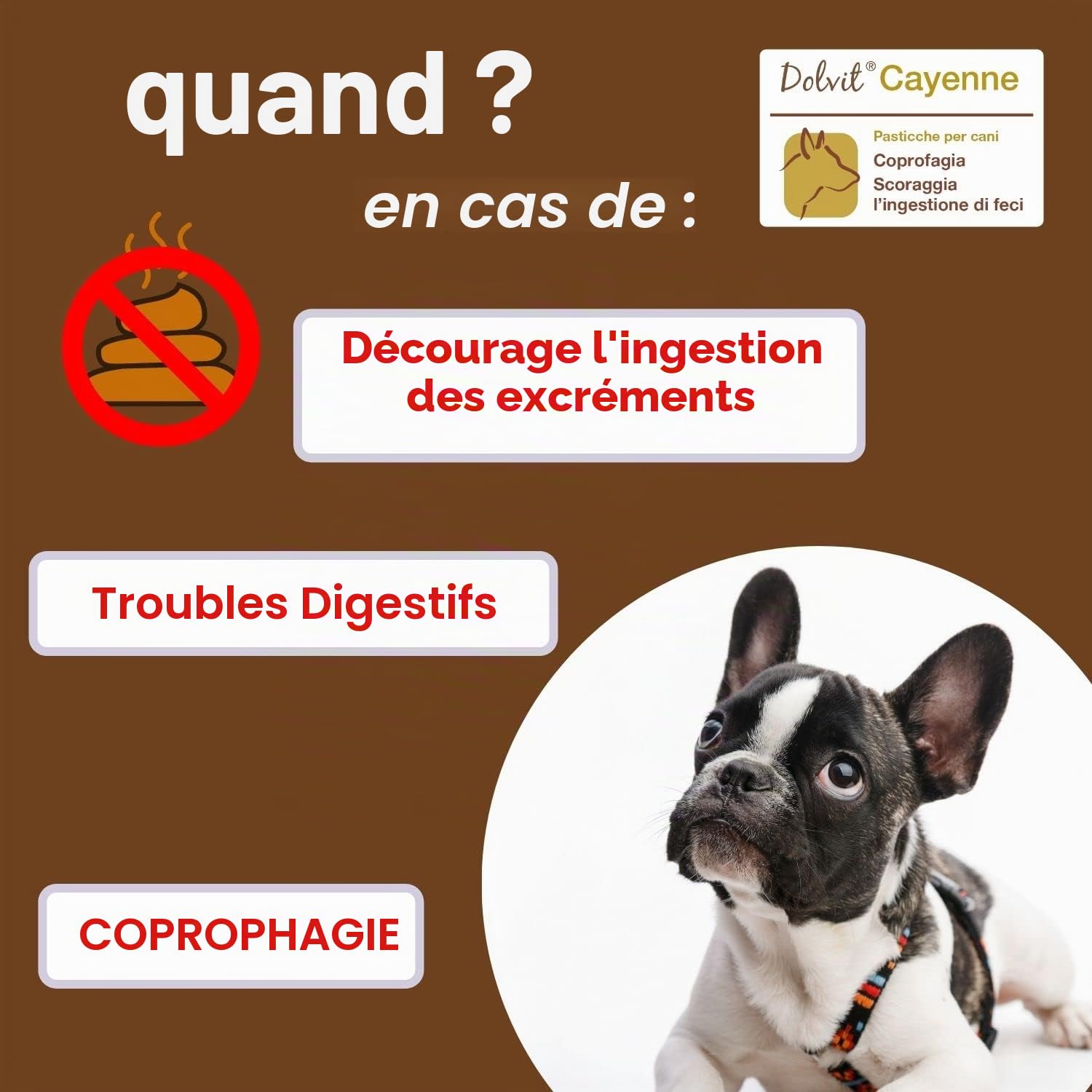 Dolvit Cayenne Coprophagie Chien - 90 pastilles à croquer inhabituelles, Complément naturel