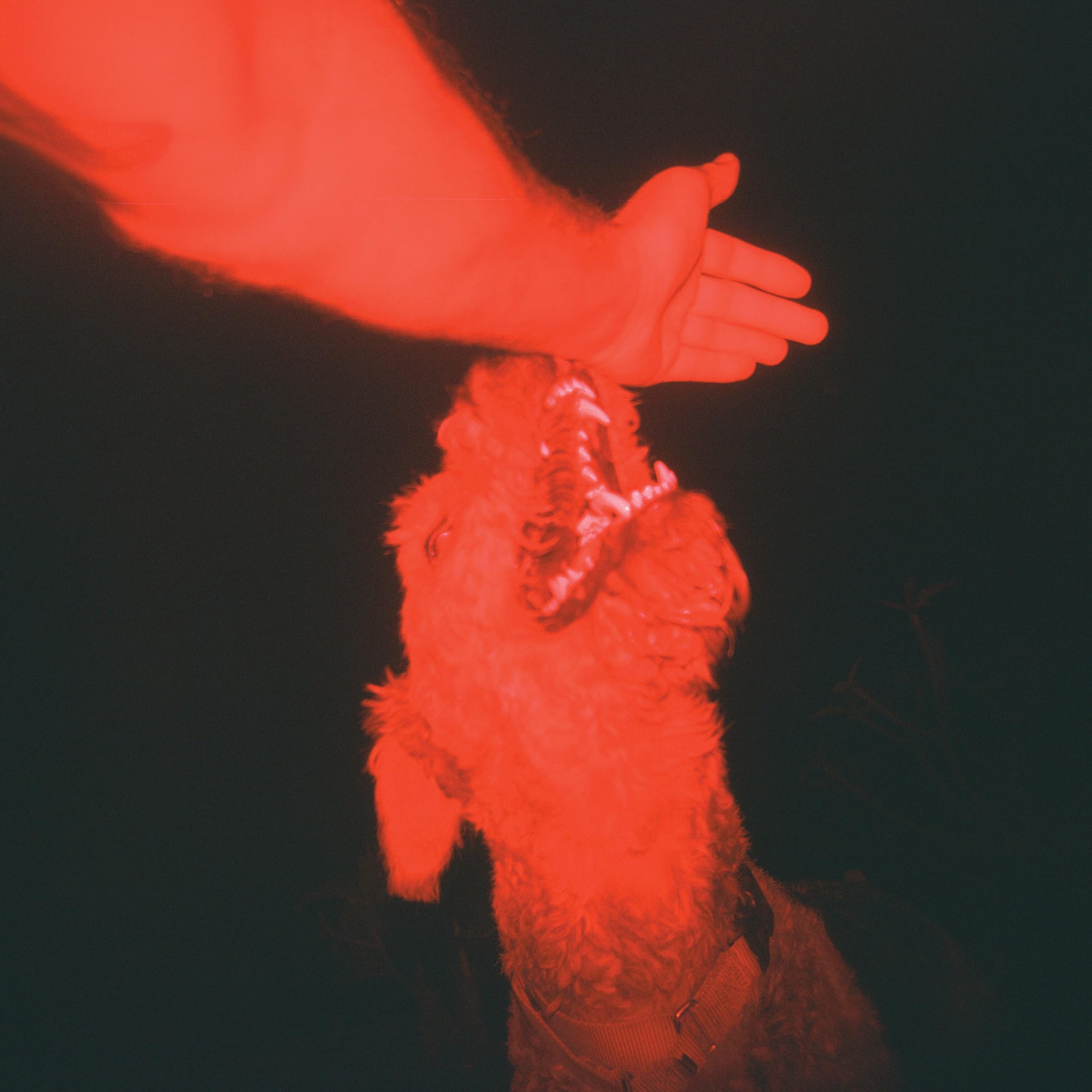 Eli Winter A Trick Of The Light (optical Illusion Transparent Red Vinyl) LP New