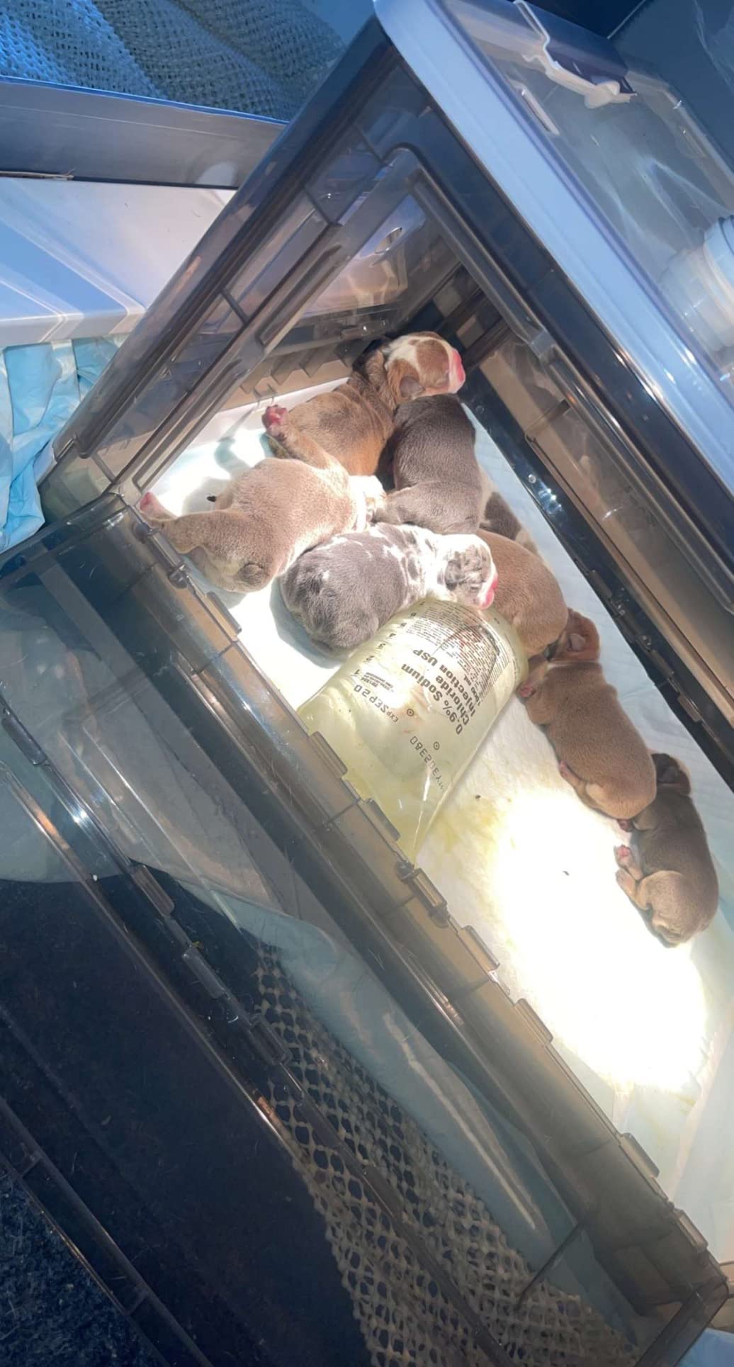 17/mo Finance Puppy Incubator,Puppy Incubator with Heating, Large