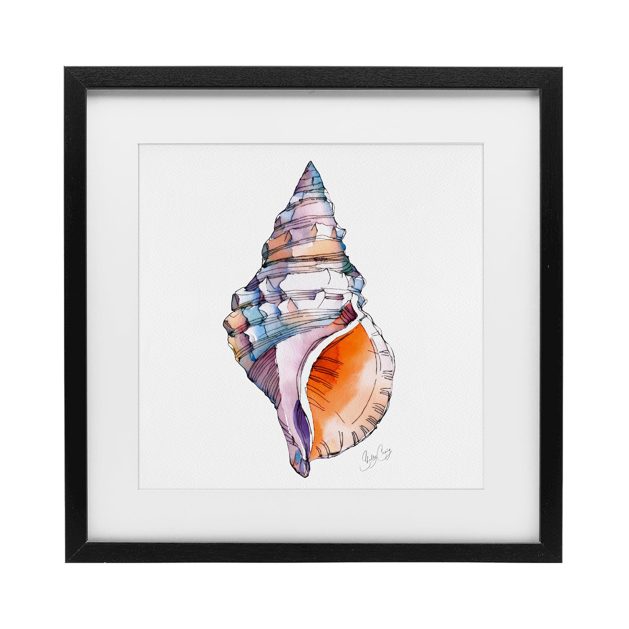 Sunrise Conch Shell Coastal, 16 x 16 Inch Framed Print Under Glass