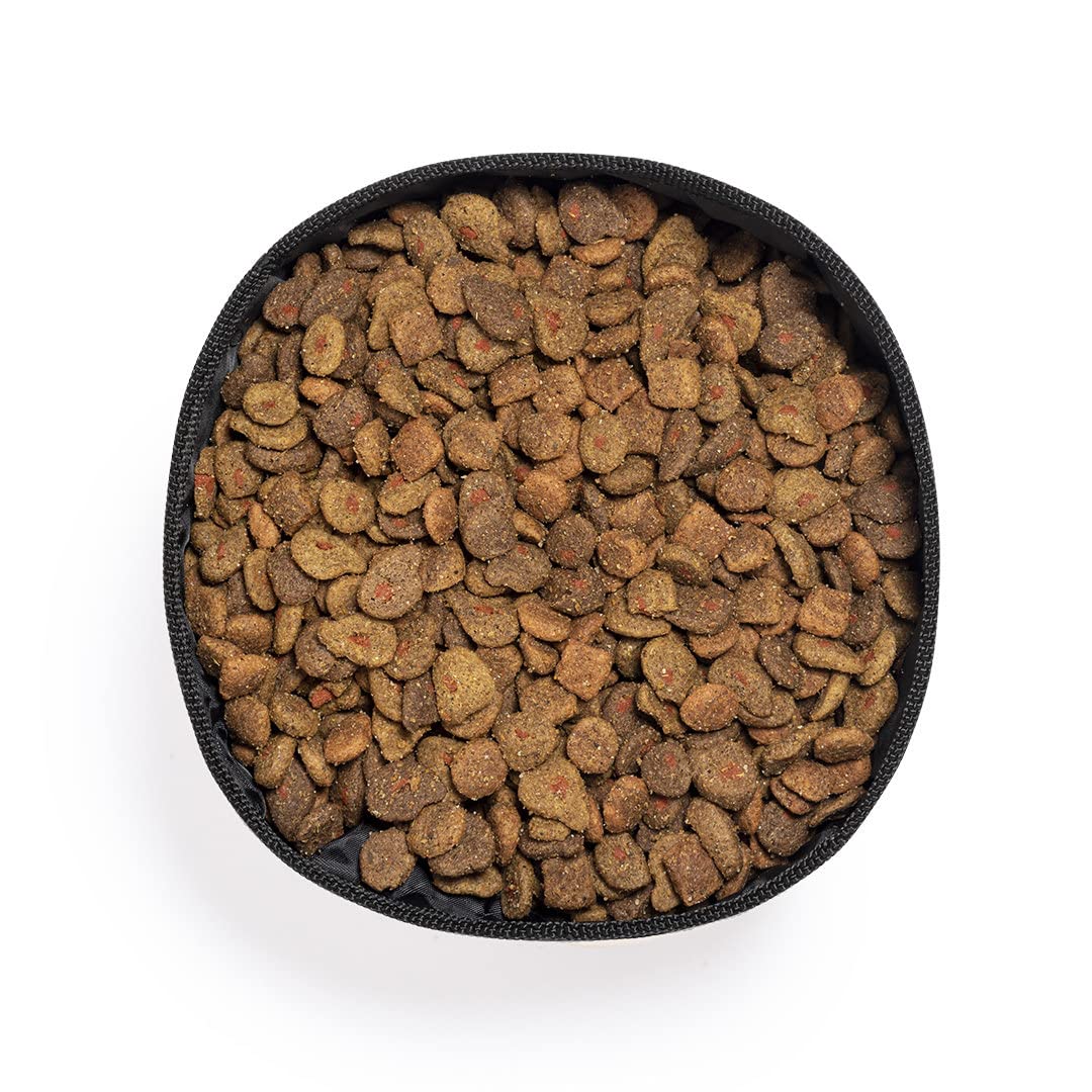 Pincho Abbeveratoio pieghevole per cani, ciotola di carta riciclata laminata e poliestere RPET, piatto pieghevole per cani, mangiatoia portatile per gatti, cani e animali domestici, per escursioni o