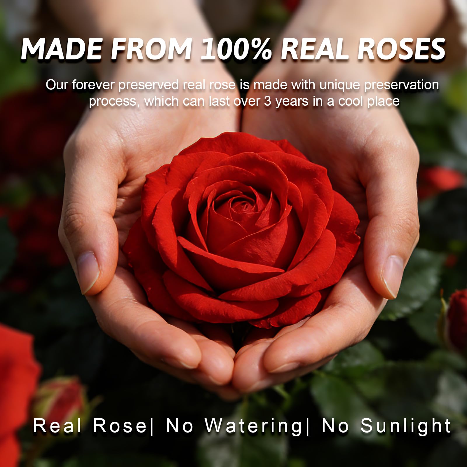 FRFG Eeuwige rozenengel, cadeaus voor mama, eeuwige roos in glas, engelfiguur, cadeaus voor vrouwen, Valentijnsdag, engel met roos, verjaardagscadeau voor vrouwen, cadeau Valentijnsdag voor haar