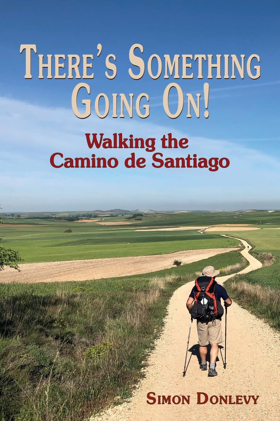 There's something going on!: Walking the Camino de Santiago