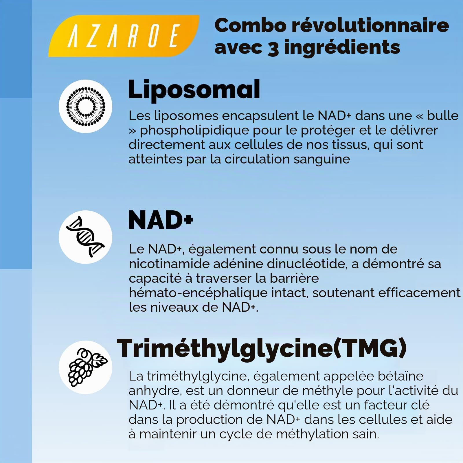 Liposomales NAD+ Gélules 500 mg avec TMG 250 mg, soutient l'énergie cellulaire, 60 gélules (60 Unité (Lot de 2))