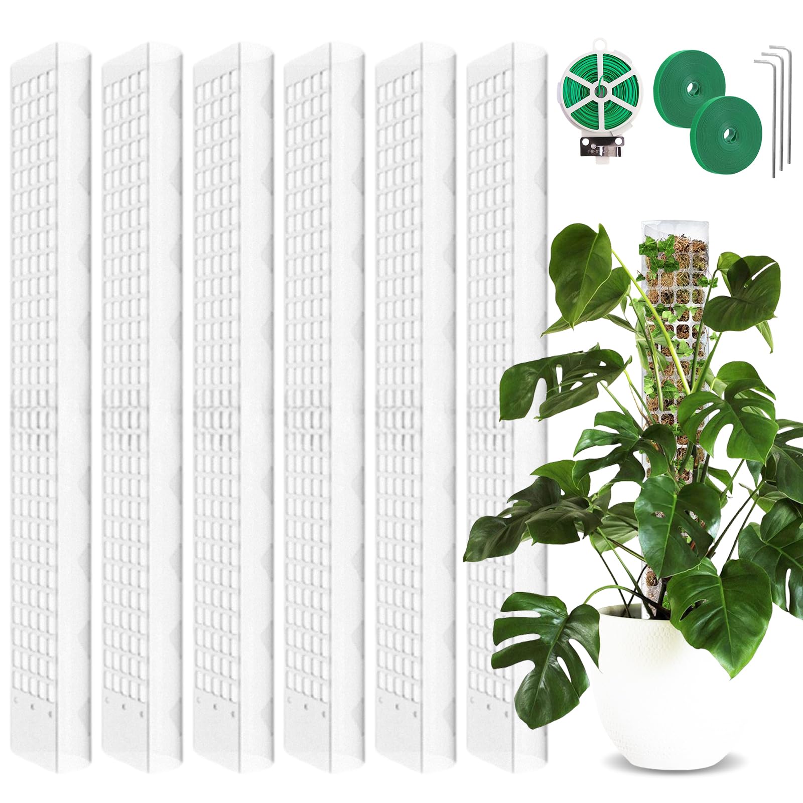 6 set di bastoncini di muschio per piante rampicanti, 61 cm, in plastica, con 3 picchetti, 2 nastri in velcro, 30 m, supporto per rampicanti Monstera, asta per piante rampicanti Monstera