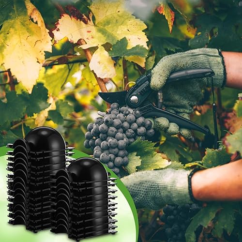 Miniatura 6 de Tanlade Caja de cultivo de raíces de plantas, 160 unidades, pequeñas cápsulas de capas de aire, bolas de propagación, dispositivo de enraizamiento