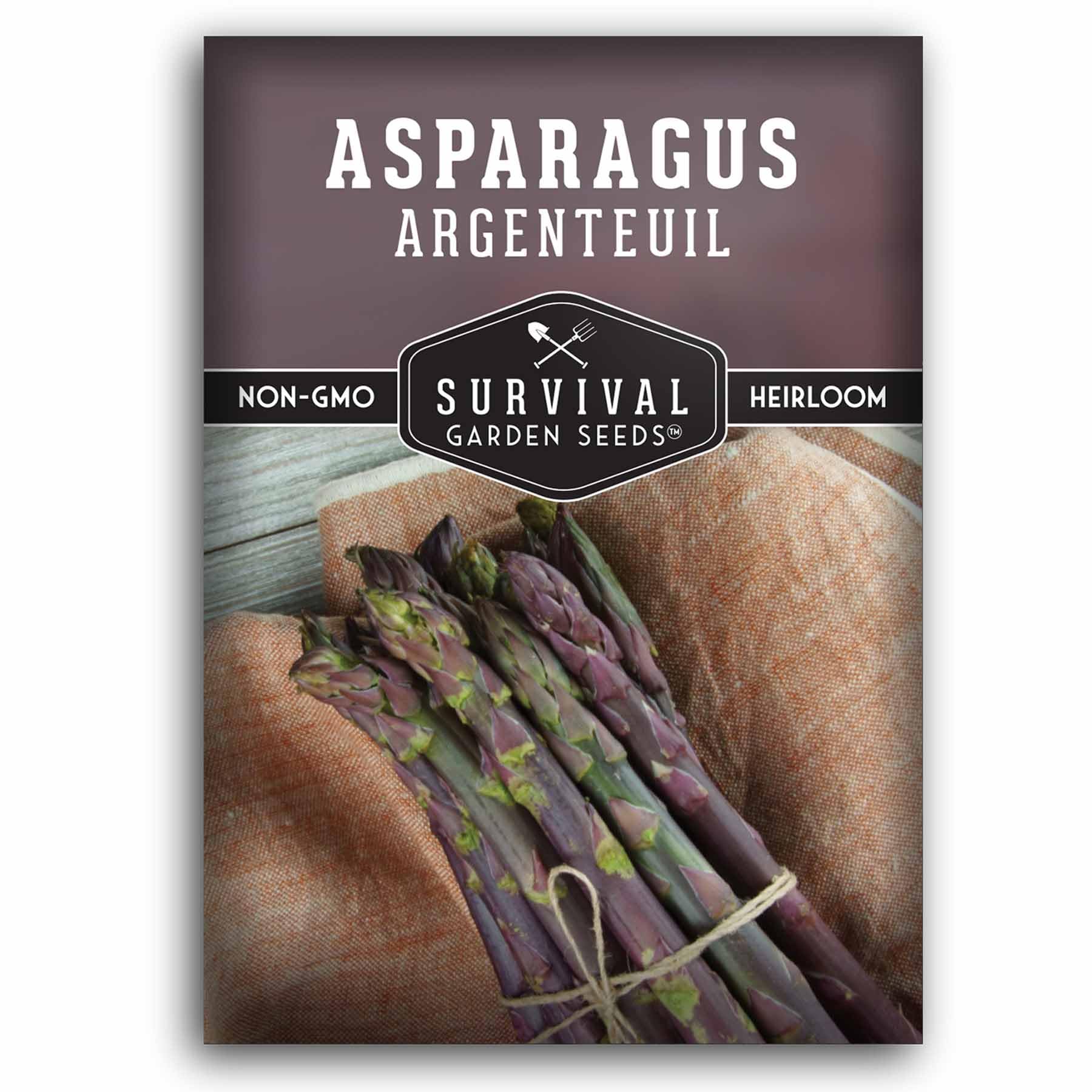 Argenteuil Purple Asparagus Seeds for Planting - Grow Gourmet French Asparagus in Your Home Vegetable Garden - Non-GMO Heirloom - Survival Garden Seeds (1 Pack)