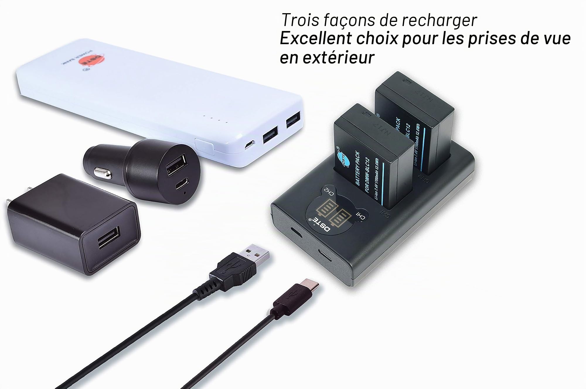 DSTE® Lot de 2 Batteries DMW-BLC12 DMW-BLC12e + kit de Chargeur Rapide Double USB pour appareils Photo Panasonic Lumix DMC-GH2 DMC-FZ330 DMC-FZ200 DMC-FZ200GK DMC-FZ1000 V-LUX4 Leica Q comme