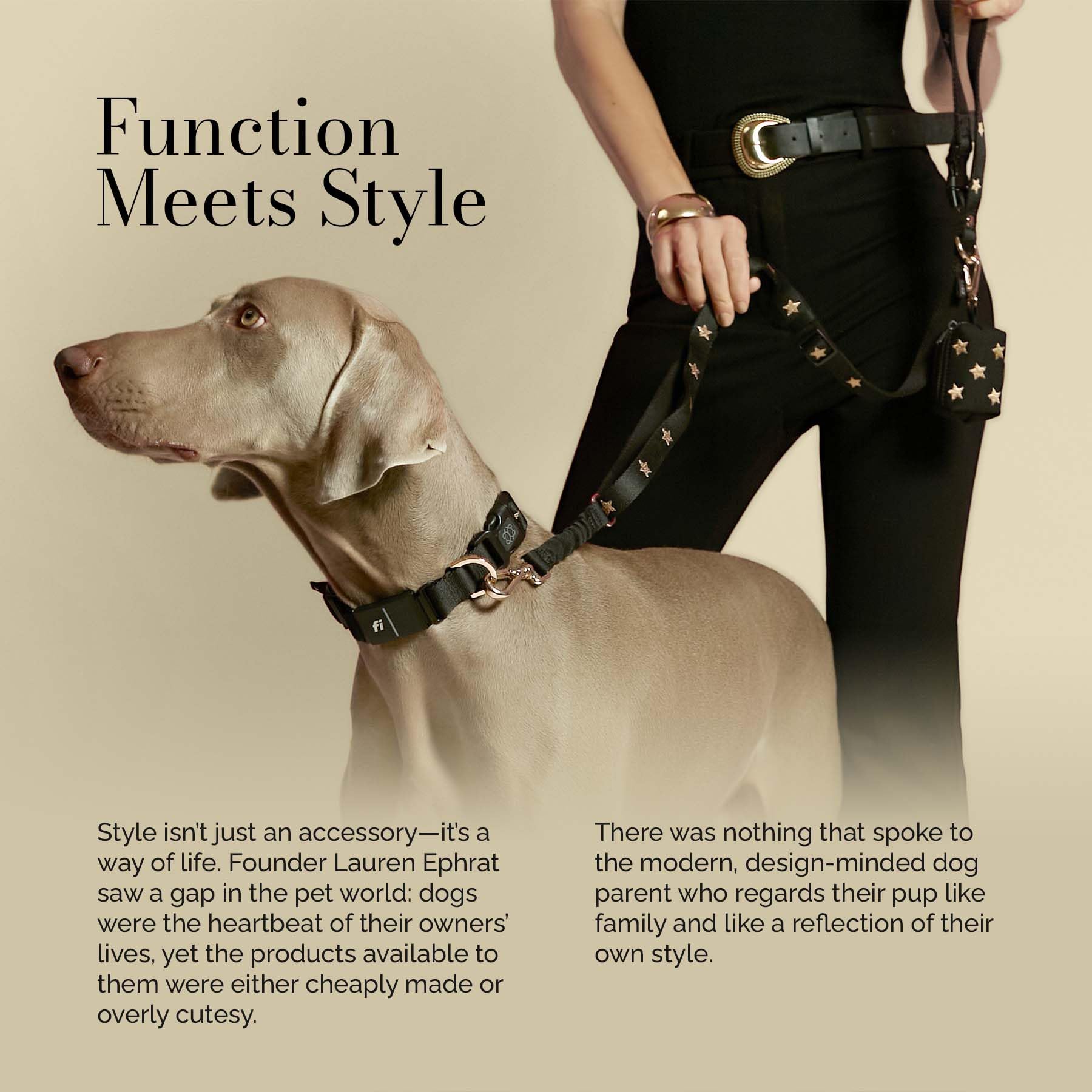 The Fi Rockstar Collar - Luxury Design Meets Smart Tech - Crafted for Fi Series 3/3+ - Seamless Style & Craft - image 5