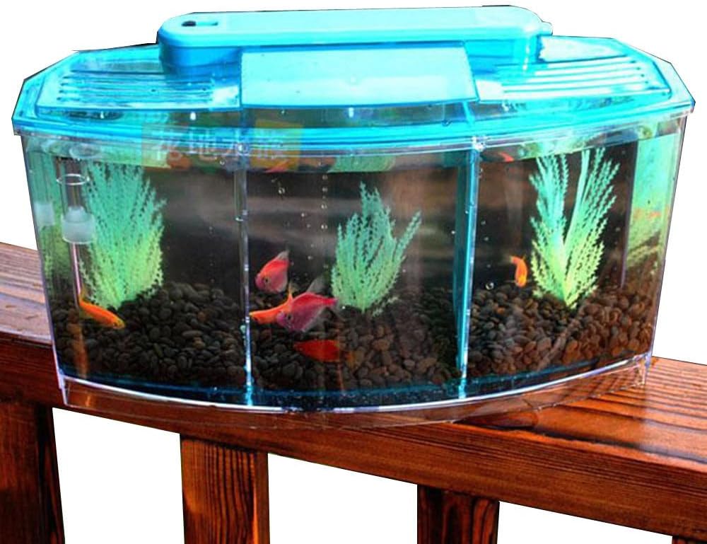 3 Compartment Acrylic Fish Shrimp Tank Small Aquarium with LED Light Sky Blue