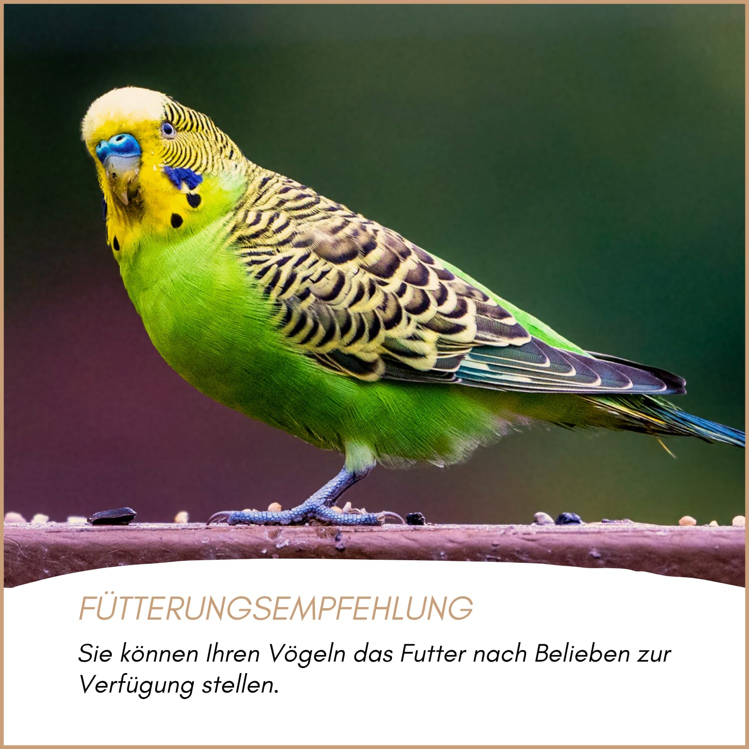 Supravit Wellensittichfutter Basis 25 Kg - Basis Körnermischung für Sittiche