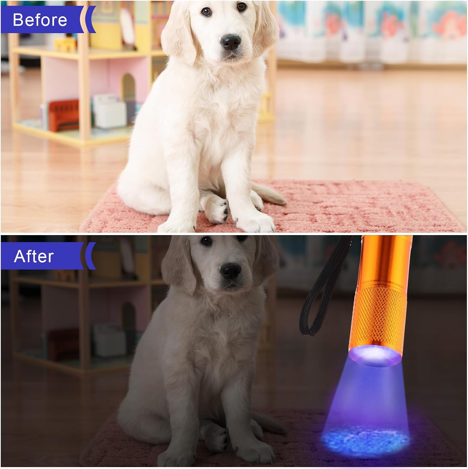 ROCEEI 10 Pieces UV Blacklight Flashlights, LED Lights, Handheld Blacklight, Mini Torch Detector, Portable UV Flashlight for Pets (Purple Light in Multi Color) image 5