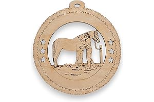 Tender Care: Personalized Horse Ornaments