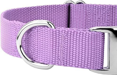 Miniatura 9 de Country Brook Petz  Collar de nailon premium para perro con hebilla de metal  Vibrante selección de 25 colores, Lavanda