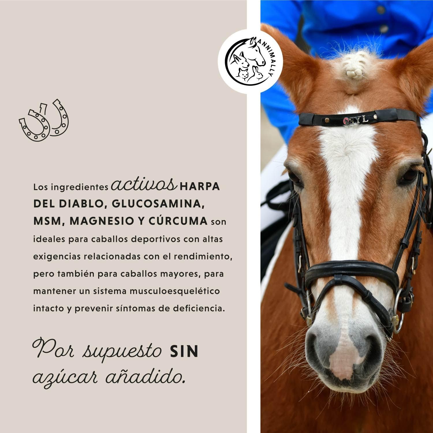Annimally Condroprotector para Caballo 1000ml con Garra del Diablo, glucosamina Caballos y MSM Caballos (azufre) en Forma líquida - Complemento alimenticio Caballos - Alternativa al Polvo