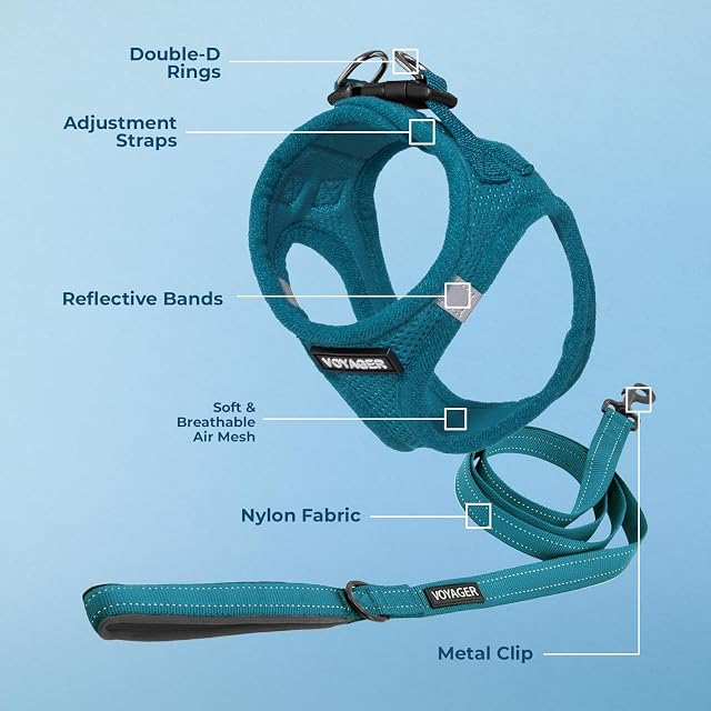 Foto 3 de 8 de Best Pet Supplies Voyager Step-in Air