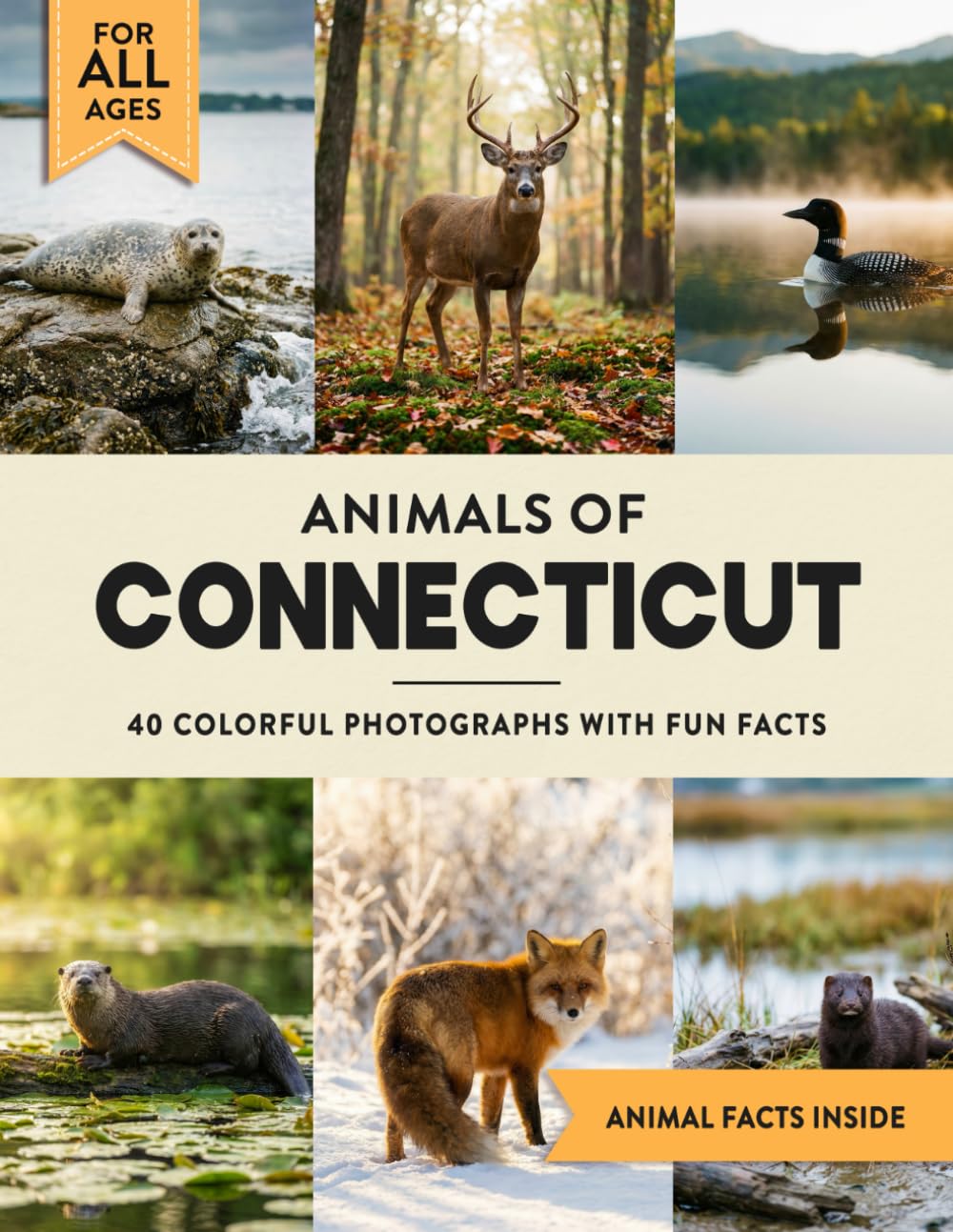 Animals of Connecticut: Learn All About Constitution State Wildlife in a Fun Fact Picture Book for Kids and Adults