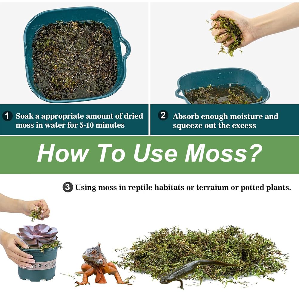 Sphaigne,Sphaigne pour Plante,Mousse De Sphaigne pour Plantes,Sphagnum Moss,Sphaigne pour Plante Intérieur,pour Plantes Carnivores Ou Orchidées