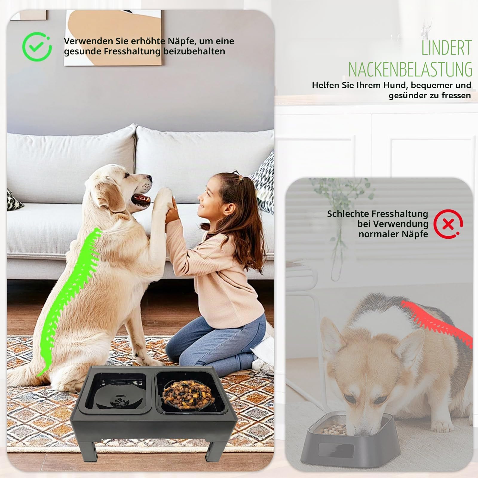Erhöhter Fressnapf für Hunde mit 4 Verstellbaren Höhen, 1x1600ml Edelstahl Futternapf, Anti-Choking Wasserbehälter und Slow Feed Behälter für Kleine, Mittelgroße und Große Hunde