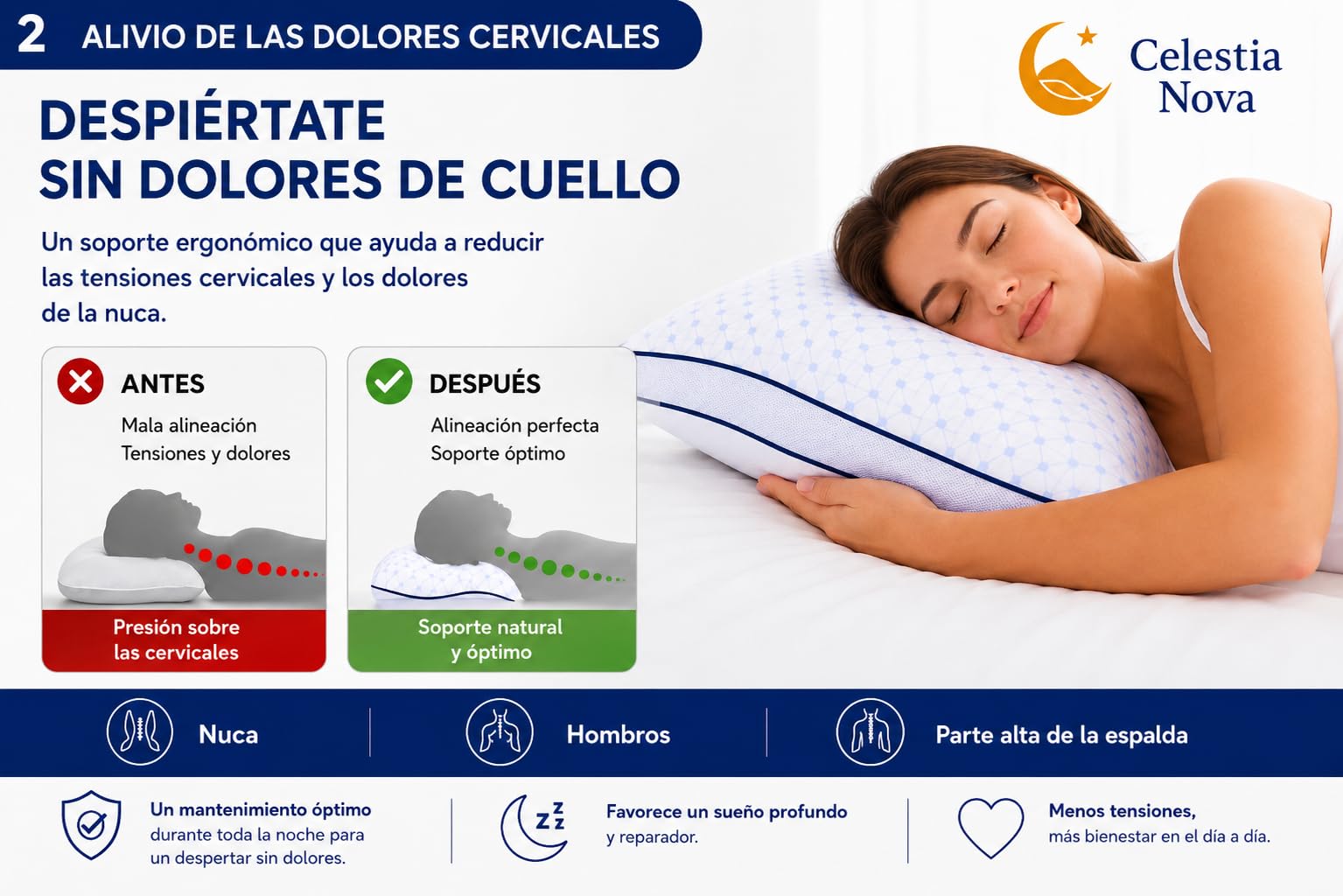 Celestia Nova Almohada ergonómica de Memoria para el Cuello Almohada ortopédica Ajustable para el Dolor de Cuello y Soporte en el Cuello – Doble Cara Fresca – Funda Lavable – 60x50 cm
