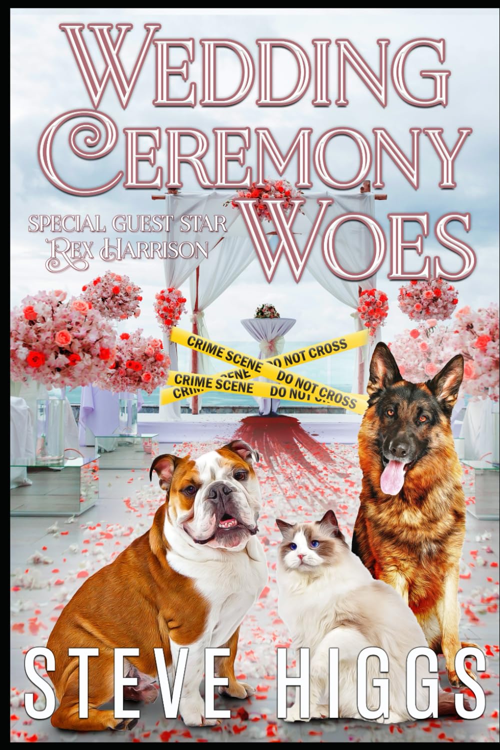 Wedding Ceremony Woes: Felicity Philips Investigates Book 5