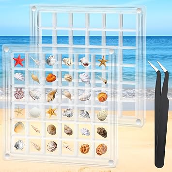 2 Pcs Acrylic Magnetic Seashell Display Box,36 Grids Clear Small Sea Shell Collection Case,Mini Seashells Rock Diamond Beads Thimble Storage,Transparent Collecting Tools for Sea Beach Travel