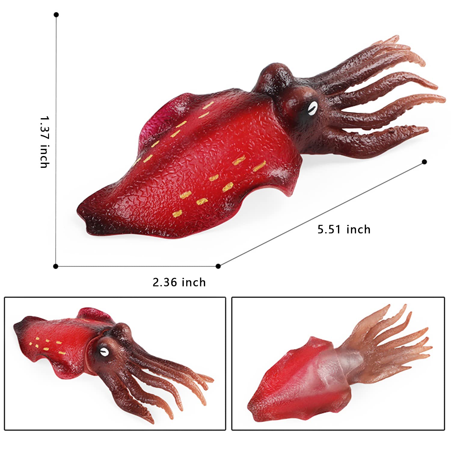 Amazon.co.jp: リアルなイカの置物 人工海の生物 イカの動物 