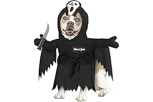 Fun World Ghost Cat Costume: A Chillingly Cute Disguise for Your Feline Friend