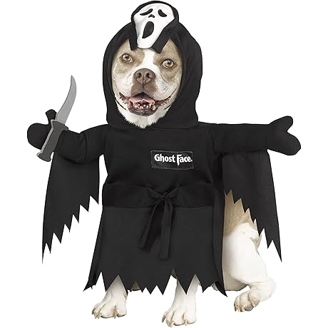 Fun World Ghost Cat Costume: A Chillingly Cute Disguise for Your Feline Friend