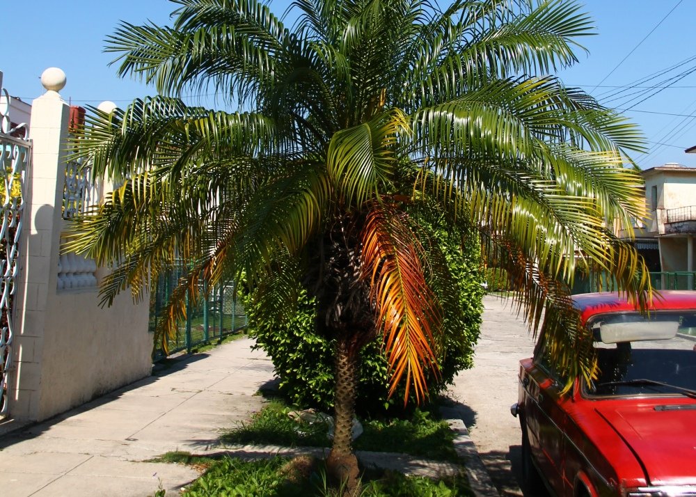 View 7