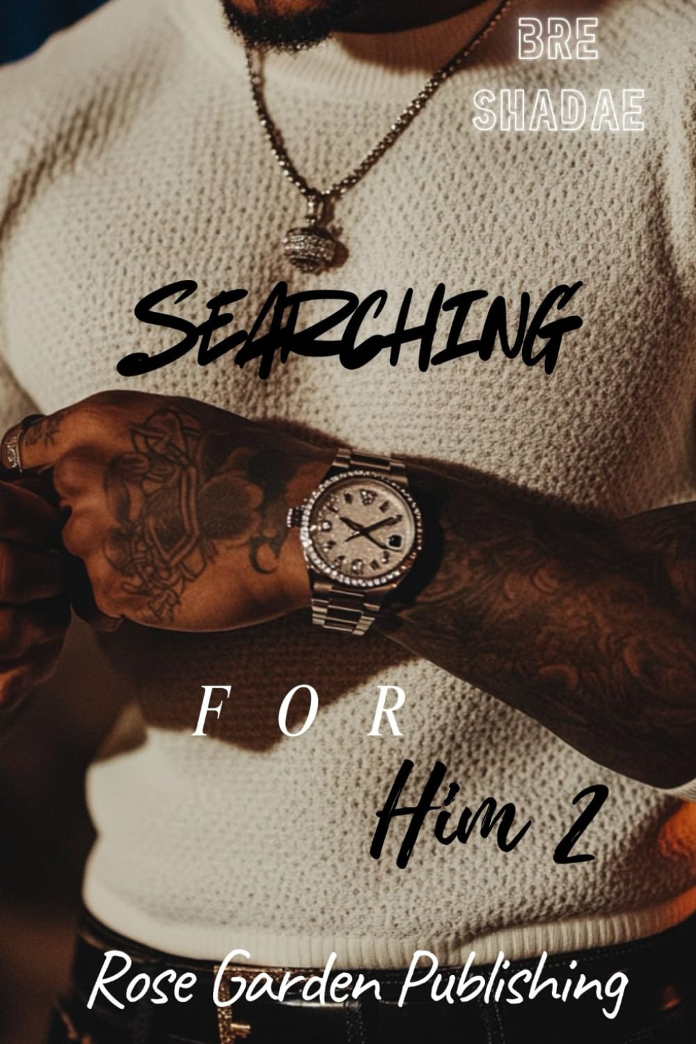 Searching For Him 2 (The Bedrock Series)