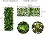 Expandable Fence Privacy thumbnail 2
