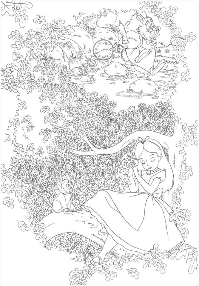 Amazon 塗り絵セレクション 不思議の国のアリス ぬりえ おもちゃ