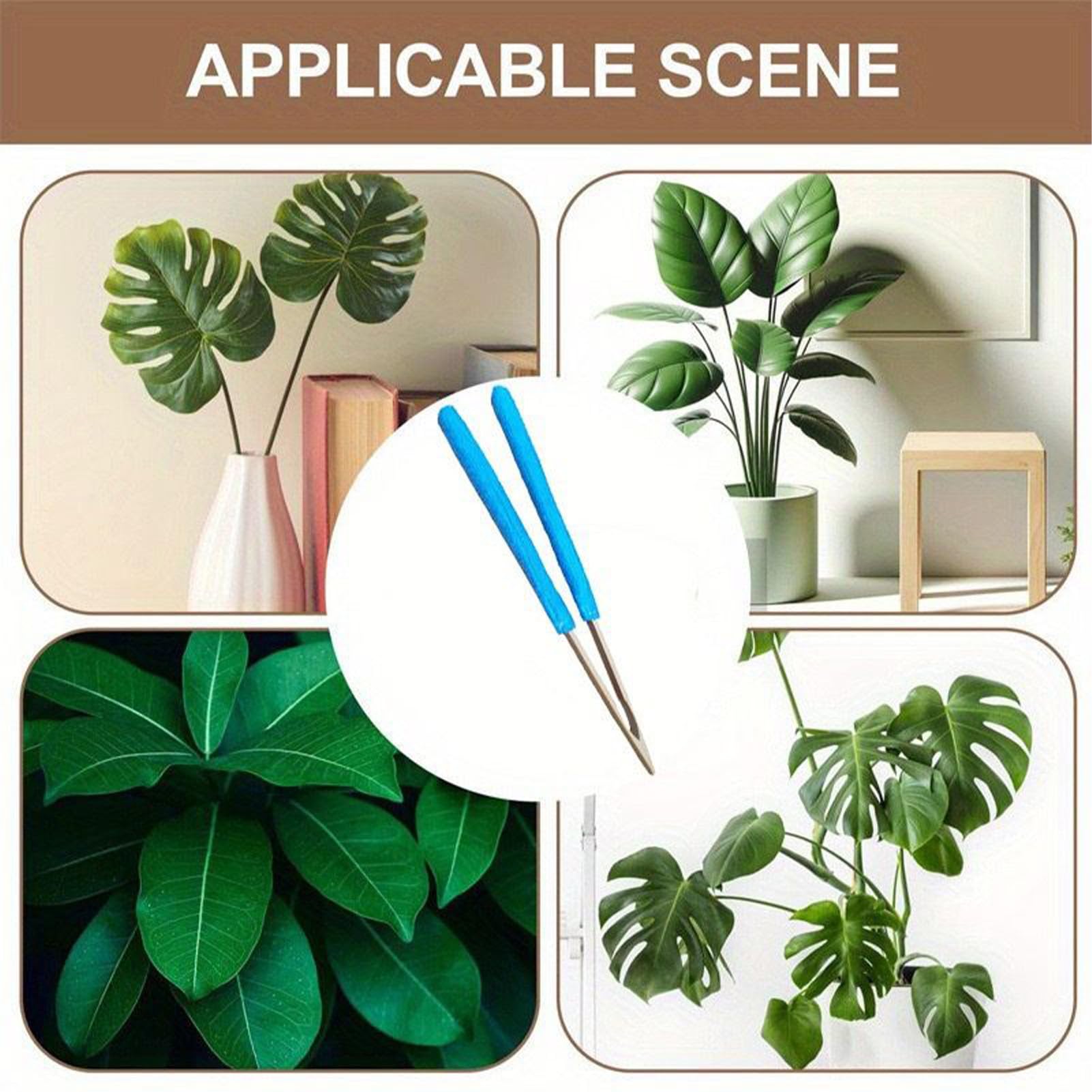 Brosse Anti-Peluches – Outil de Jardin Portable avec Manche en Bois