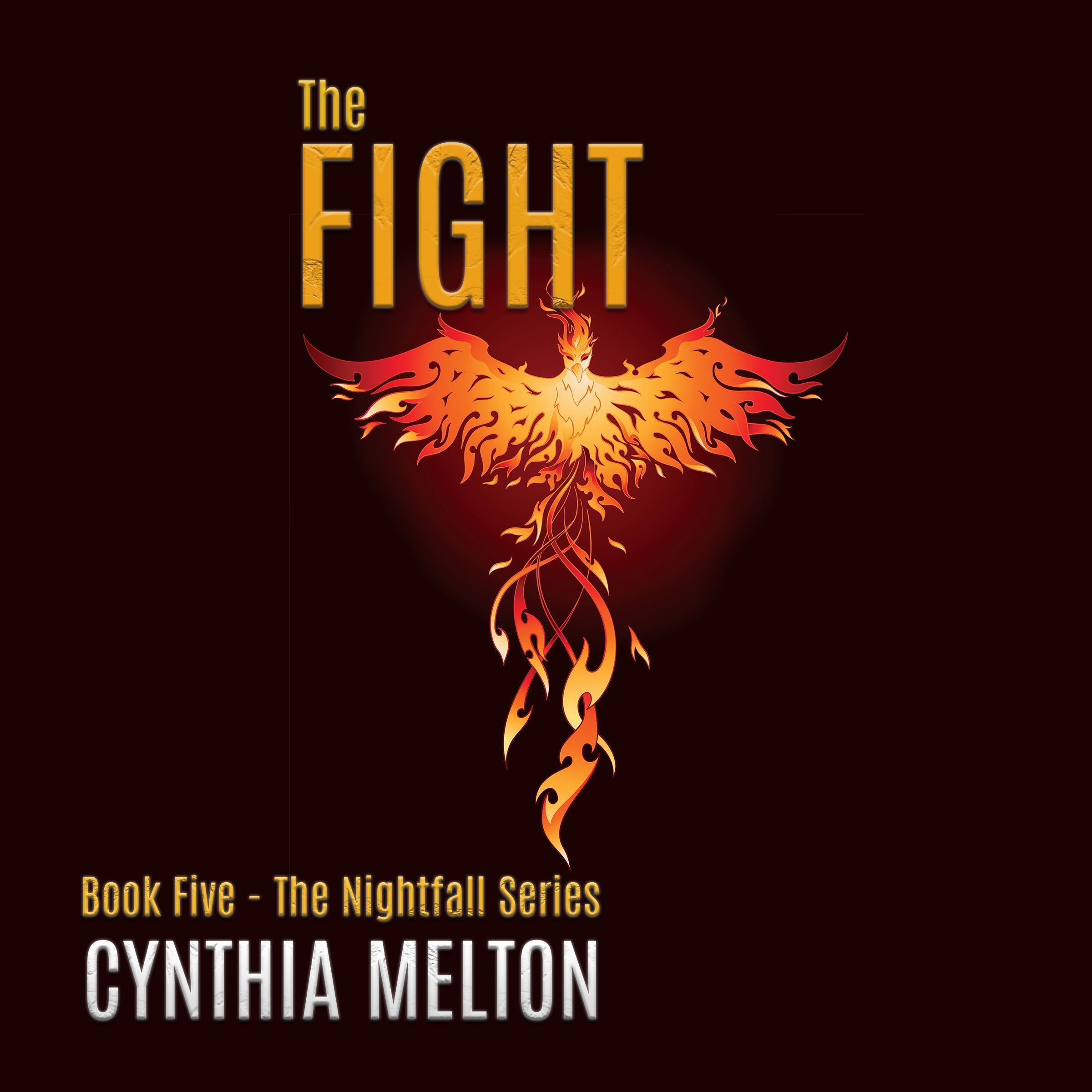 Cover art for The Fight