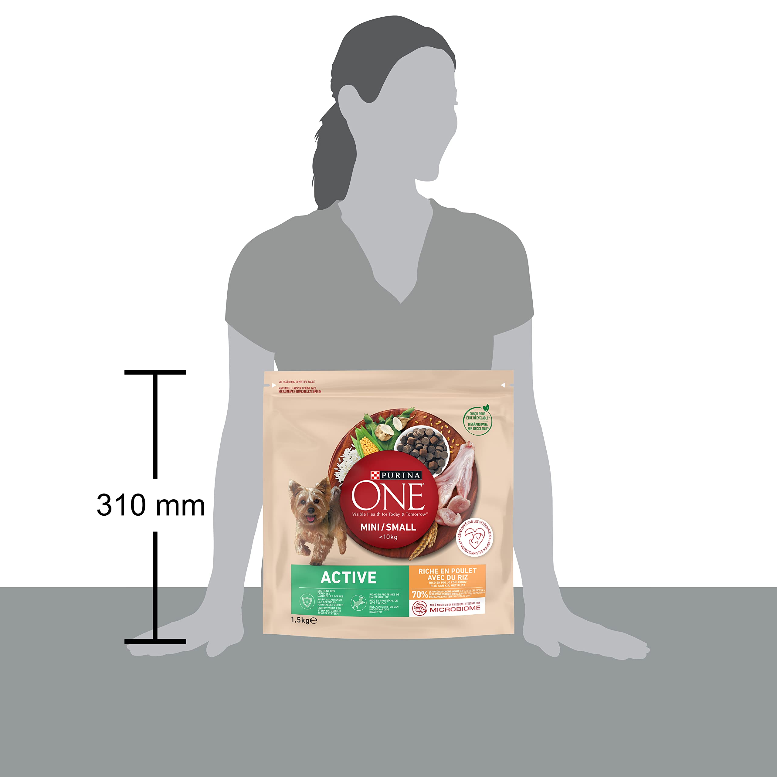 PURINA ONE | MINI | ACTIVE | Croquettes pour Chien Adulte Actif de petite taille, <10 Kg | Protéines de haute qualité pour aider à soutenir des muscles forts | Au Poulet | Sac | Lot de 6 x 1,5 Kg