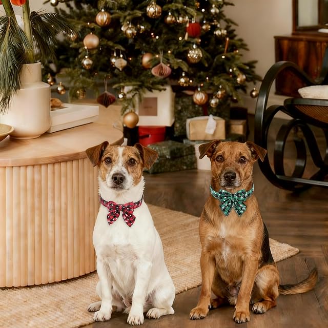 Foto 8 de 8 de KOOOGEAR 2 collares de Navidad para gatos y perros, collar de gato con lazo, copo de nieve con Navidad