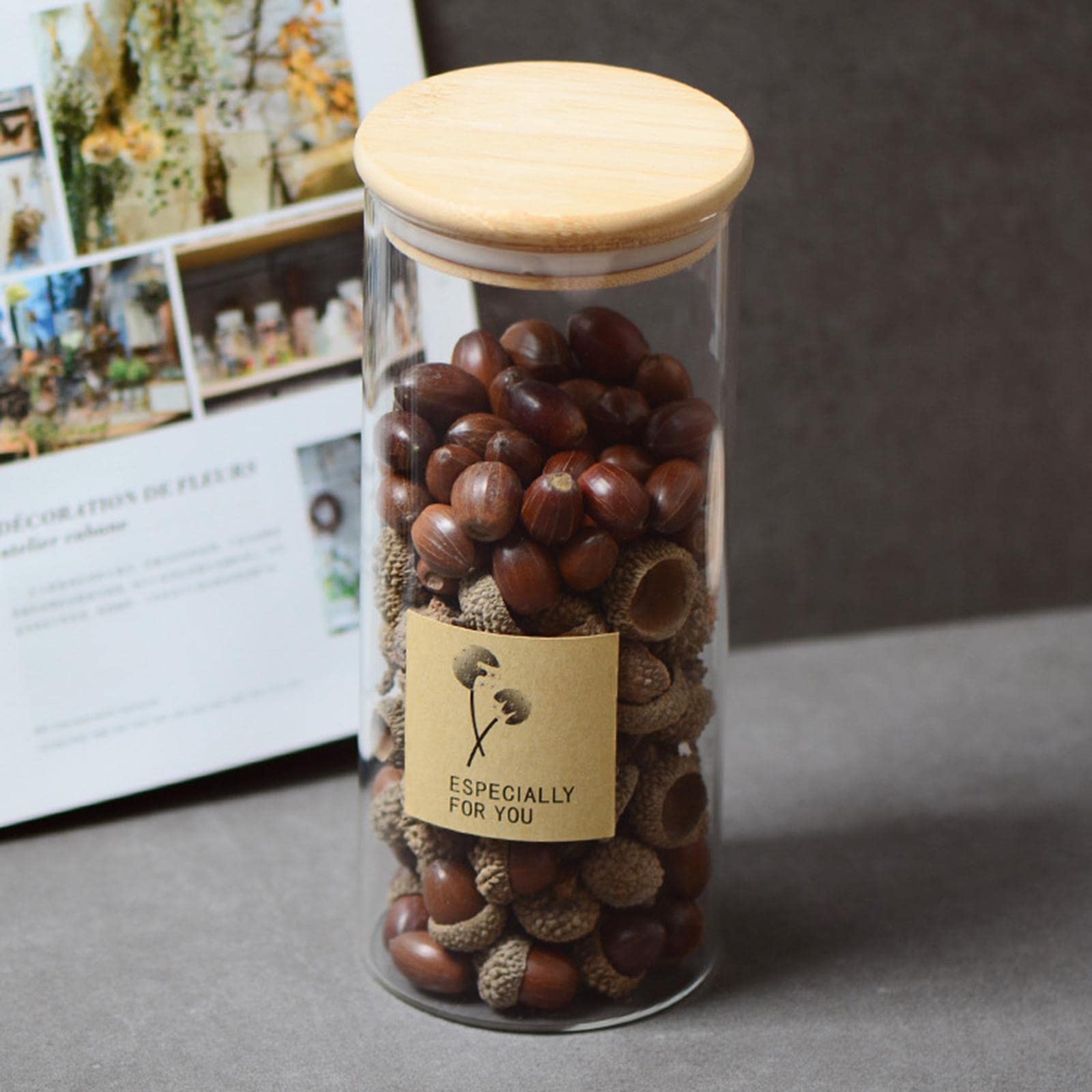 CALANDIS® 100Pcs Natural Acorns Real Acorns Caps Home DIY Christmas Natural Acorn Caps | Natural Dried Acorns | 100 Pieces Natural Acorn Caps100 Pieces Natural Acorn