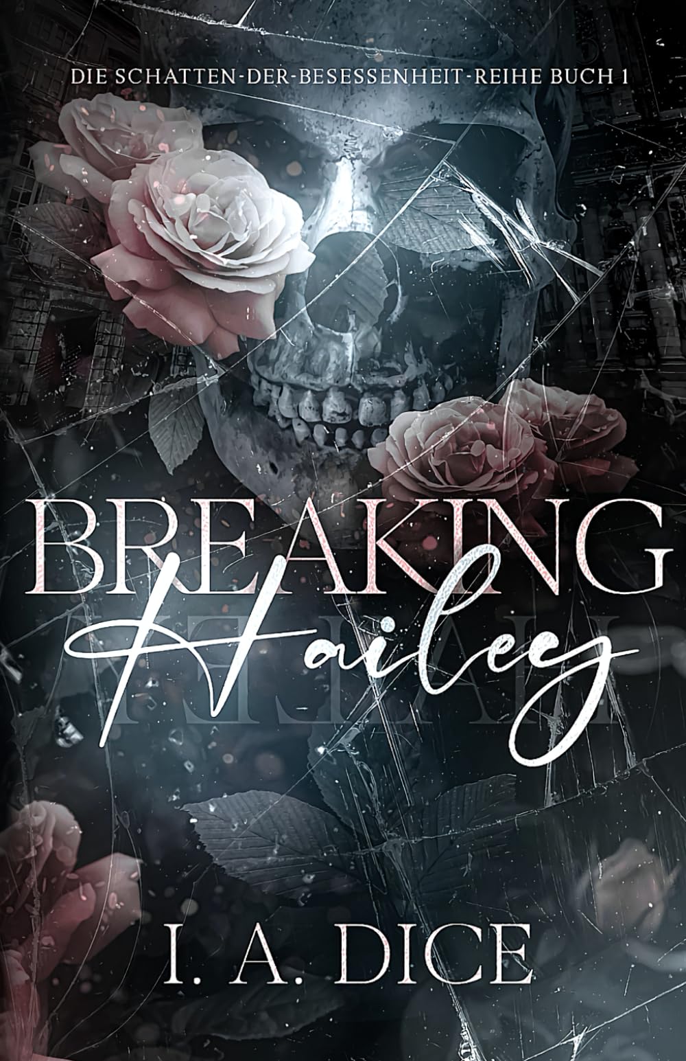 Breaking Hailey: Die Schatten-der-Besessenheit-Reihe, Buch 1