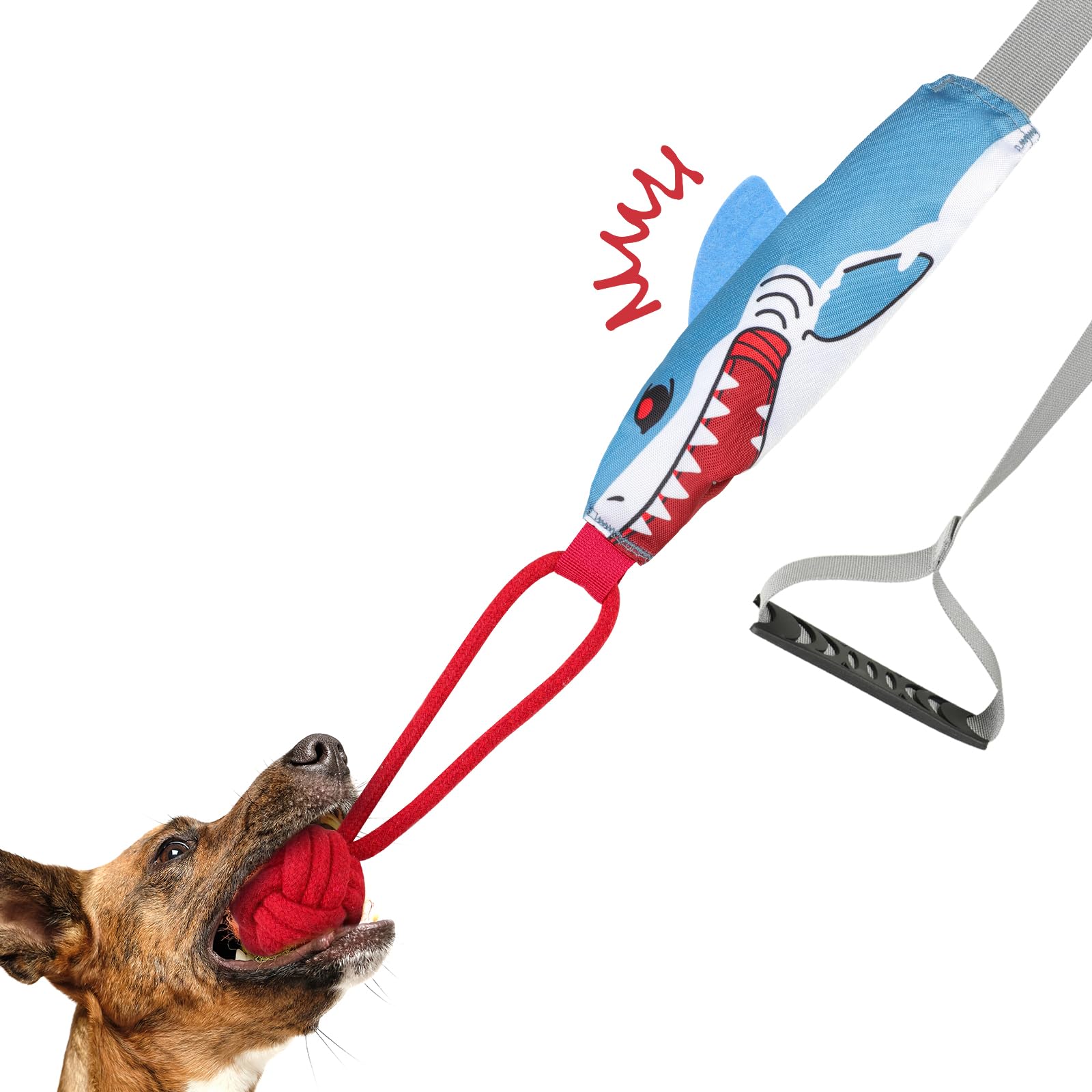 Can make a sound tug of war toys, cleaning teeth, designed for interaction with dogs, indoor and outdoor can be used, suitable for energetic, love chewing furniture dog tug of war dog toys