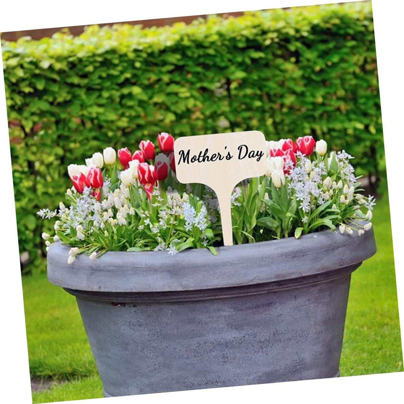 Mipcase 100pièces Étiquettes Non Fini Pour Plantes De Panneaux Identifiants De Fleurs Pour Jardin Et Dimensions De Pour Décoration De Et Pots
