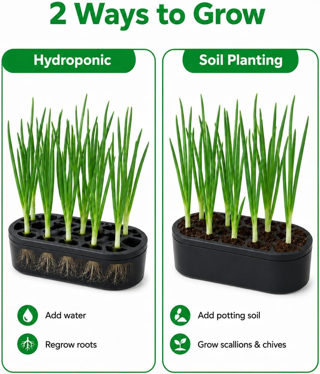 Green Onion Regrower Sprouting Kit Hydroponic Indoor Herb Planter Tray Vegetable Growing Container for Kitchen Window Gardening System Compatible with Green Onion Shredder Regrowth