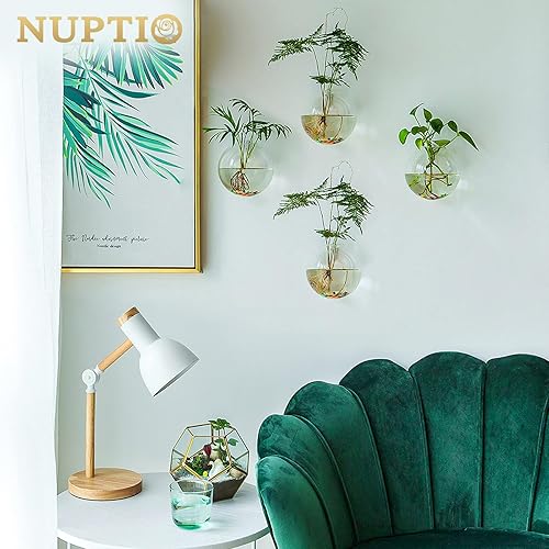 Miniatura 3 de NUPTIO 4 macetas colgantes de pared de vidrio, terrarios, macetas redondas de vidrio, jarrones colgantes de vidrio para plantas, terrarios,