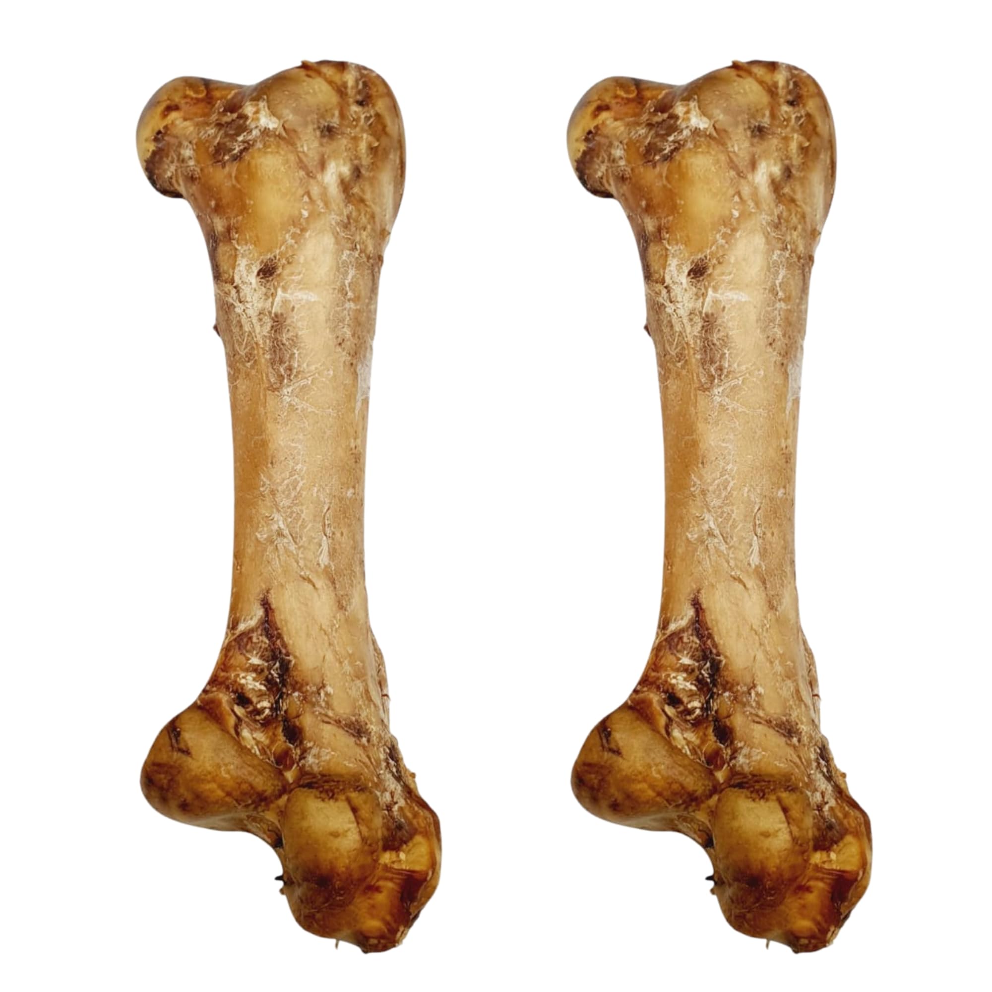 Ostrich Dino Bone For Dogs - Natural Dog Bones