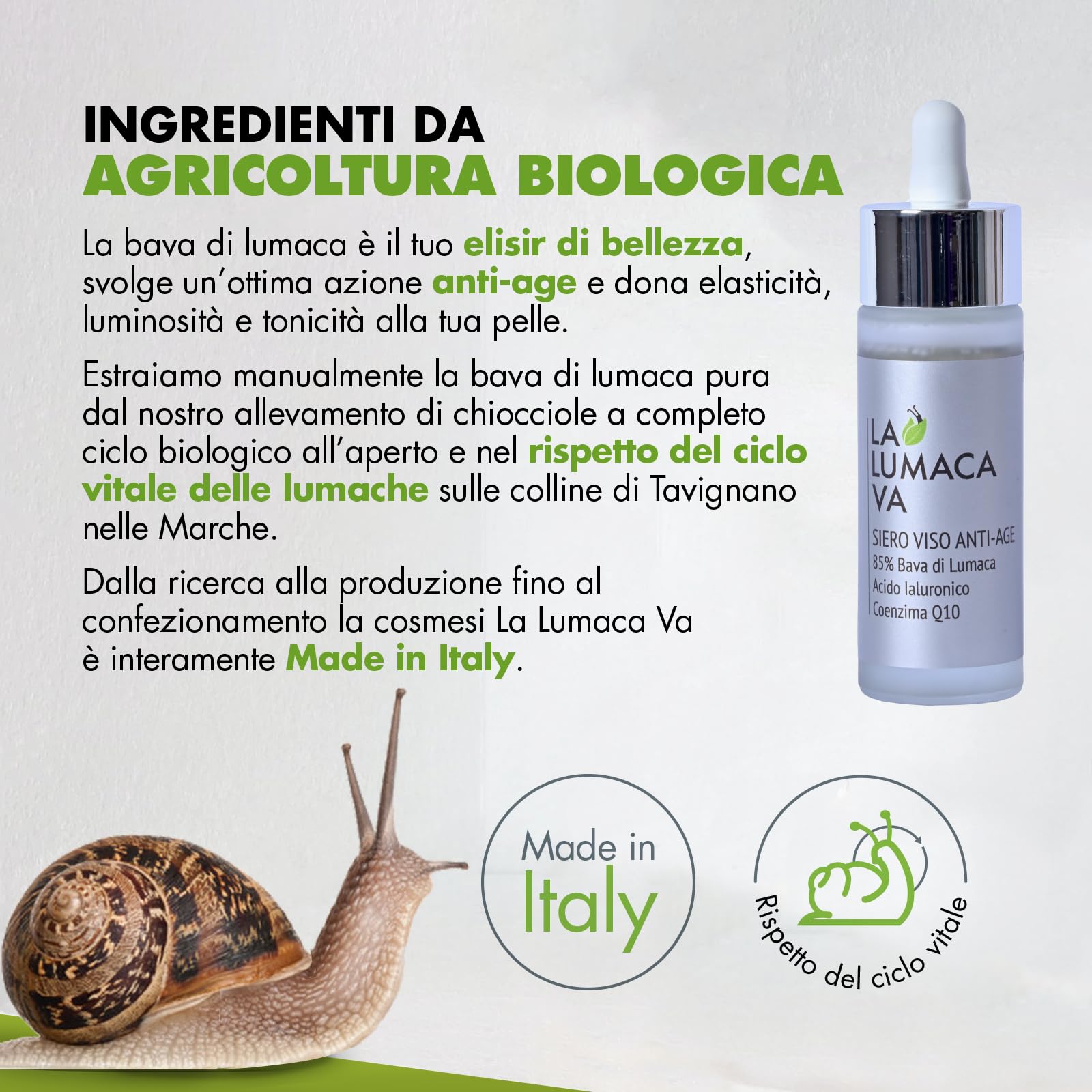 Schneckenschleim-Serum 85 % rein, mit niedermolekularer Hyaluronsäure und Coenzym Q10, Anti-Falten-Serum, feuchtigkeitsspendend, geeignet als Gesichtsserum für fettige, trockene und