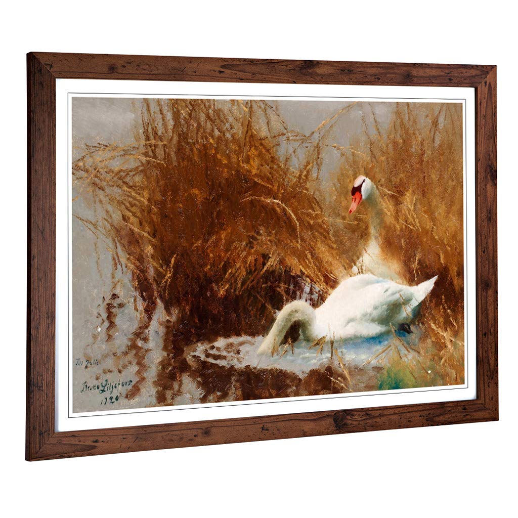 Big Box Art Framed Print of Bruno Liljefors Swans Design | Wall Art Picture | Home Decor for Kitchen, Living, Dining Room, Lounge, Bedroom, Hallway, Office, Walnut, A2 / 24.5x18 Inch / 62x45cm