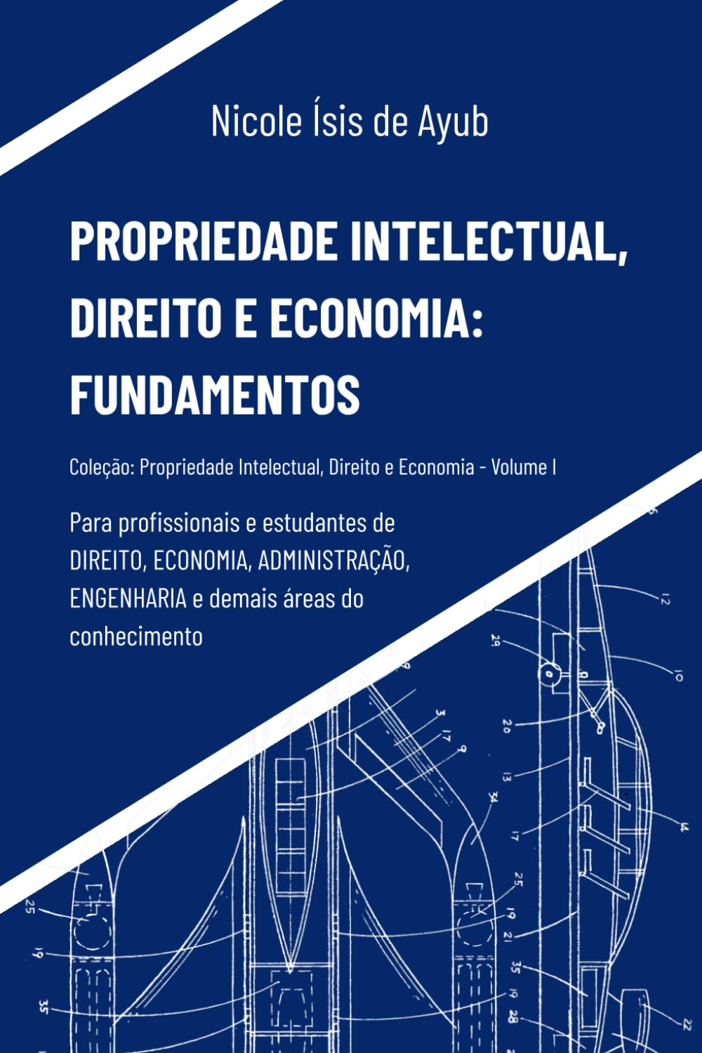 Propriedade Intelectual, Direito e Economia: Fundamentos