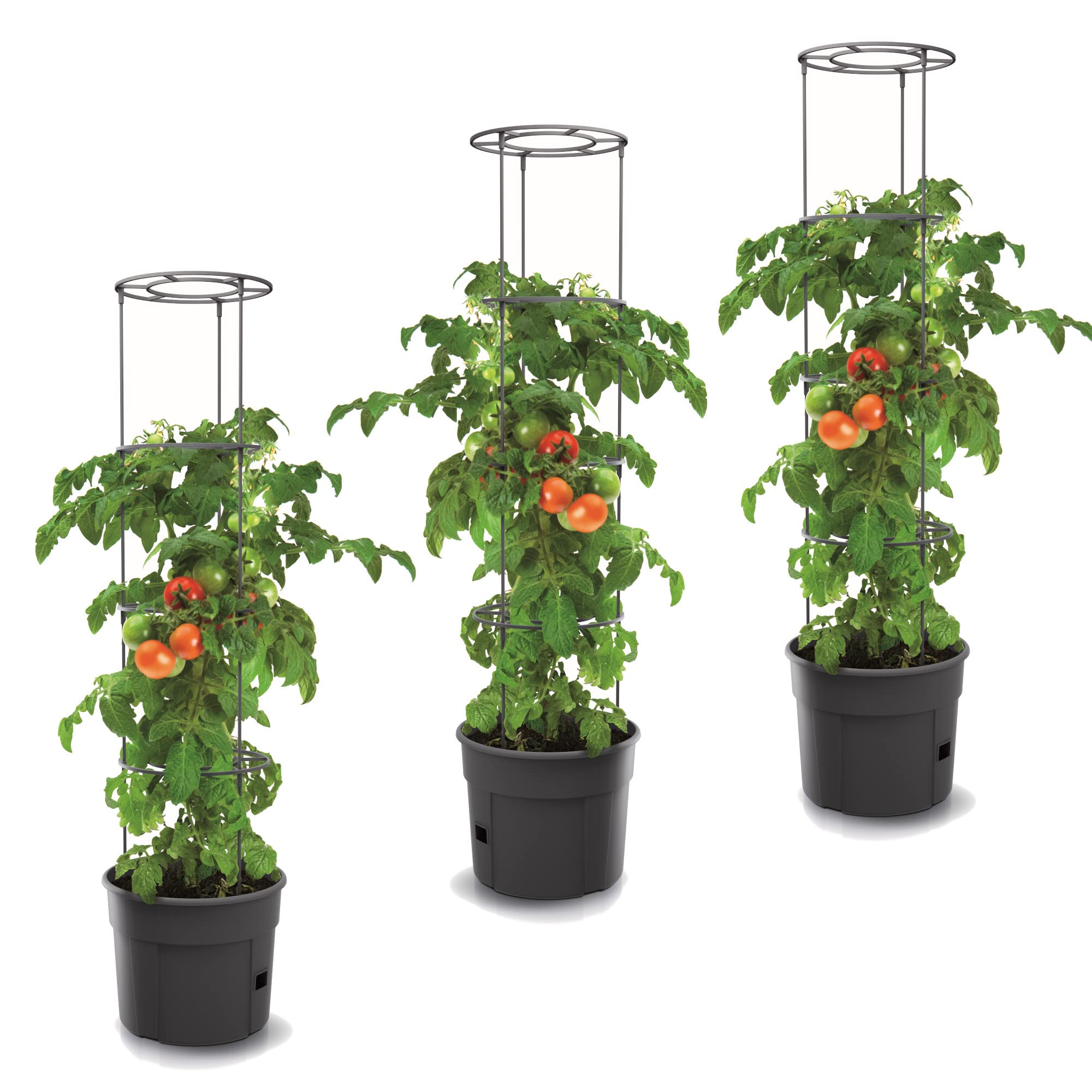 botle 3X Tomatenpflanze Blumentopf für Tomaten Set 3 STK Pflanzkübel 12 L, Tomatenzüchter, Tomatentopf, Übertopf, Gemüsen, Tomaten Waschen