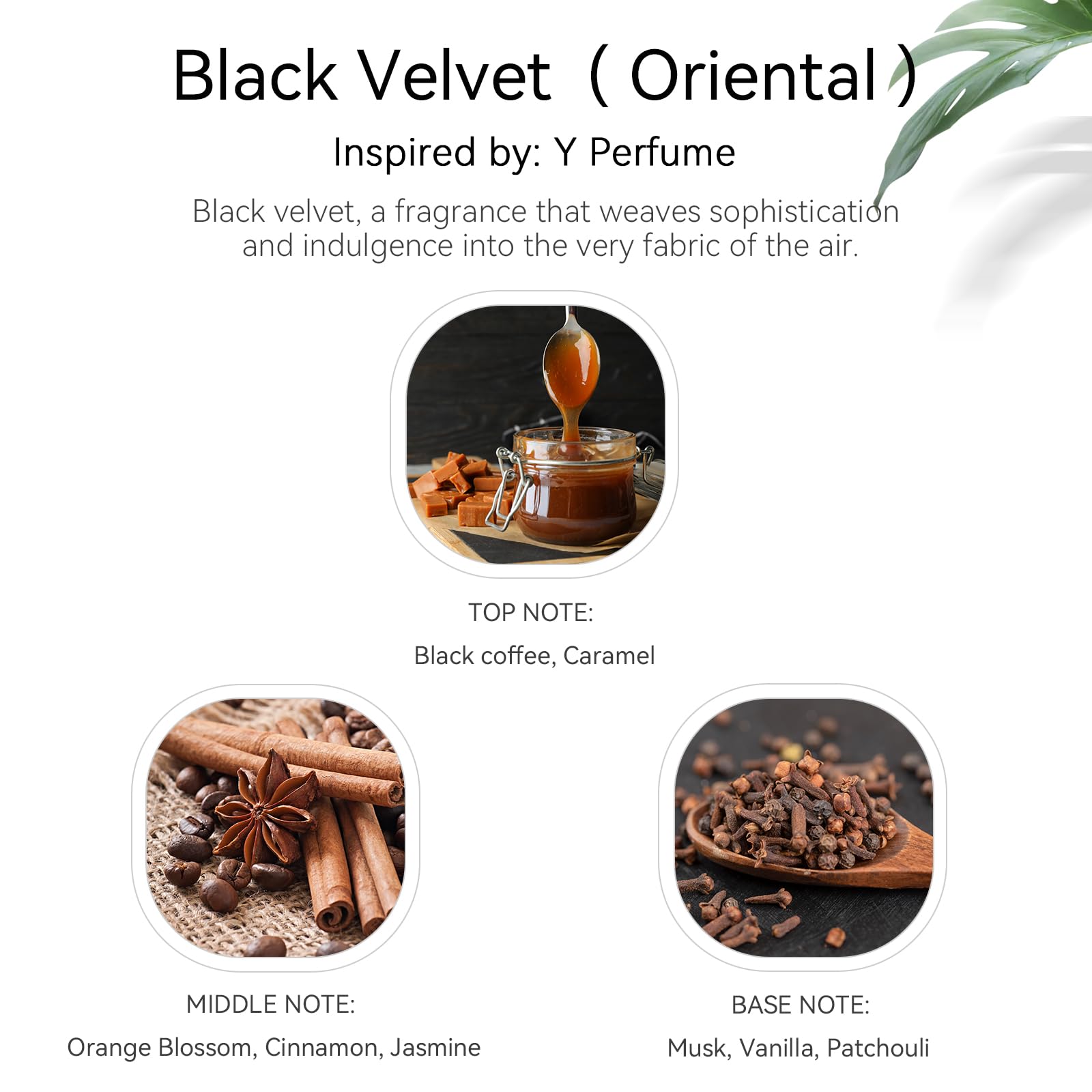 Hotel Fragrance Oil - Black Velvet Essential Oils for Scent Diffuser - Black Coffee, Caramel, Cinnamon, Vanilla, Patchouli - Home Luxury Scents Aroma Fragrance for Home, Office