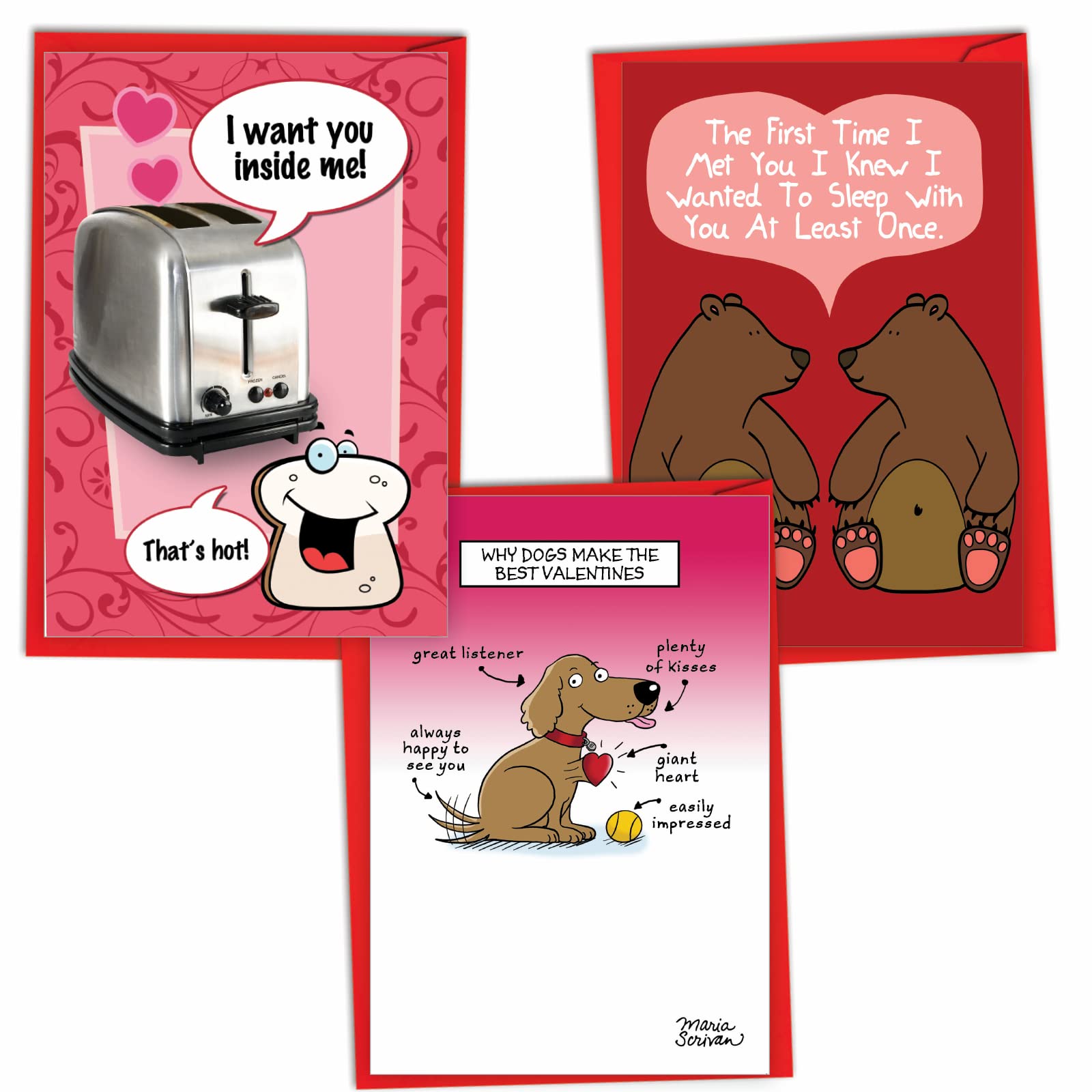 Amazon.com: NobleWorks - Assortment of 3 Funny Valentine